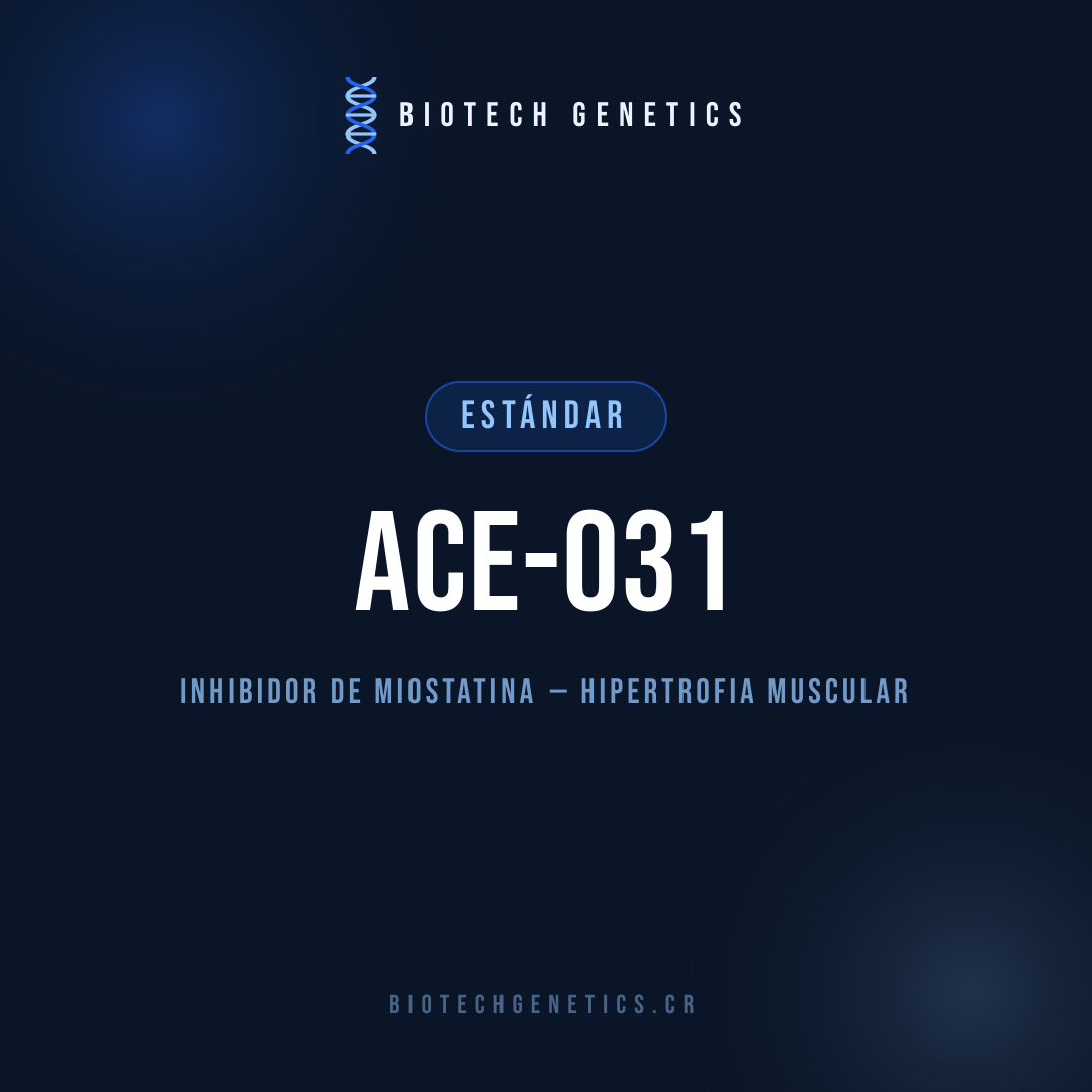 ACE-031 — Inhibidor de miostatina — hipertrofia muscular