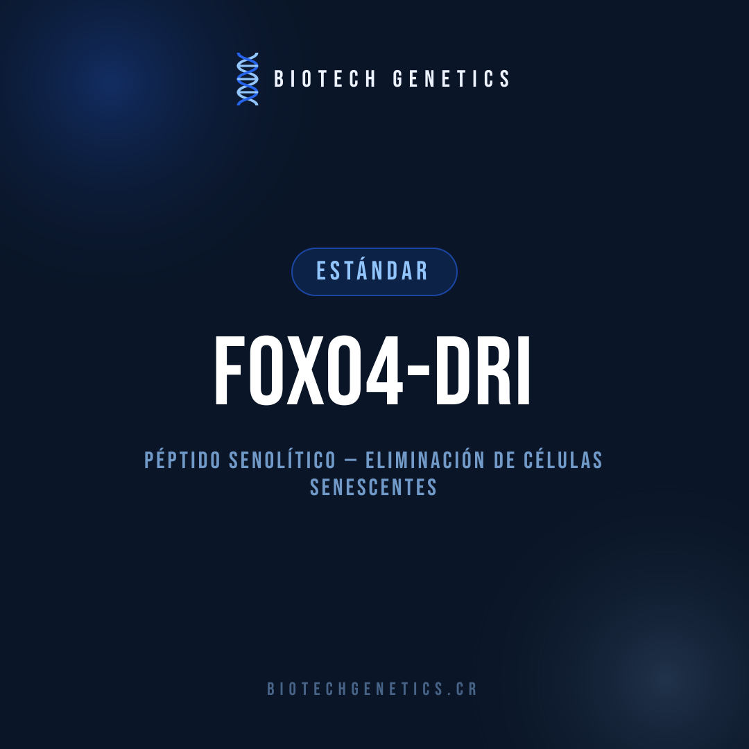 FOXO4-DRI — Péptido senolítico — eliminación de células senescentes